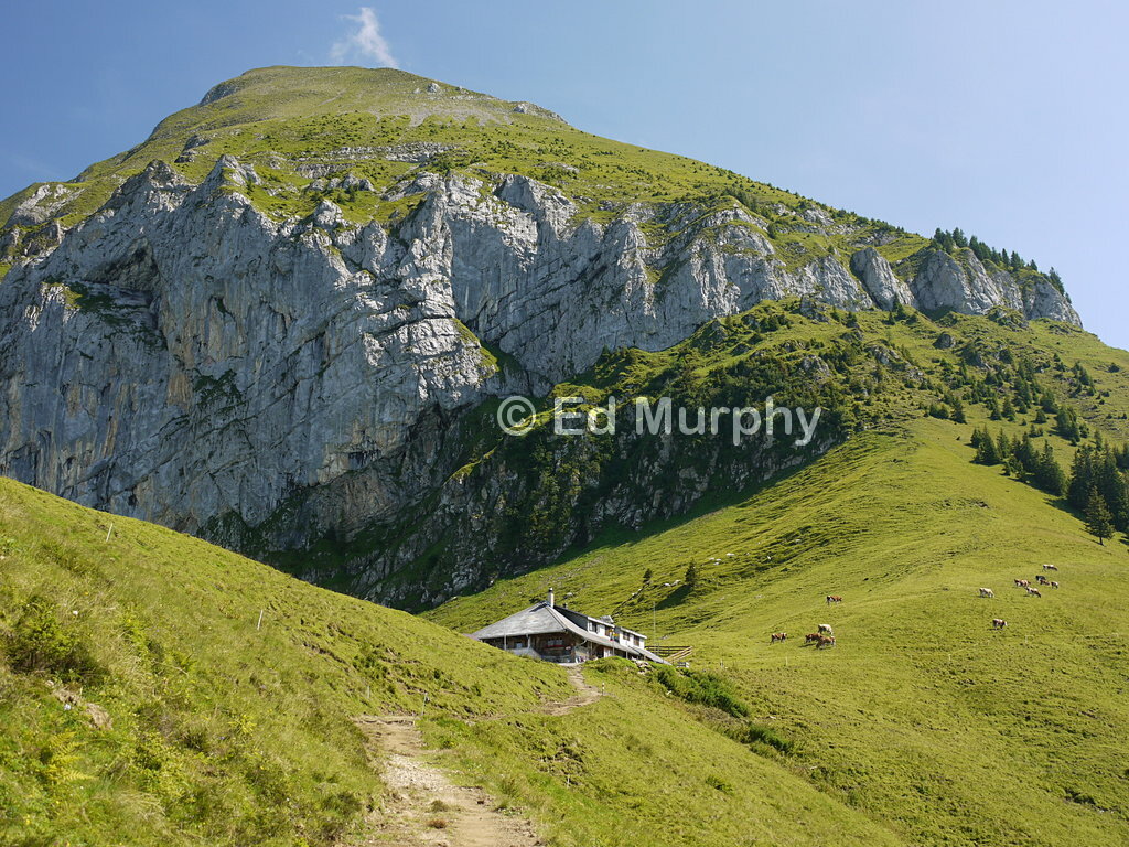 Alp Brunni below the Morgenberghorn's western cliffs