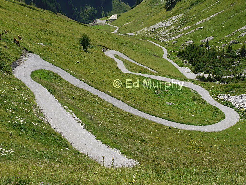 New road where once was a path towards the Brendel Pass