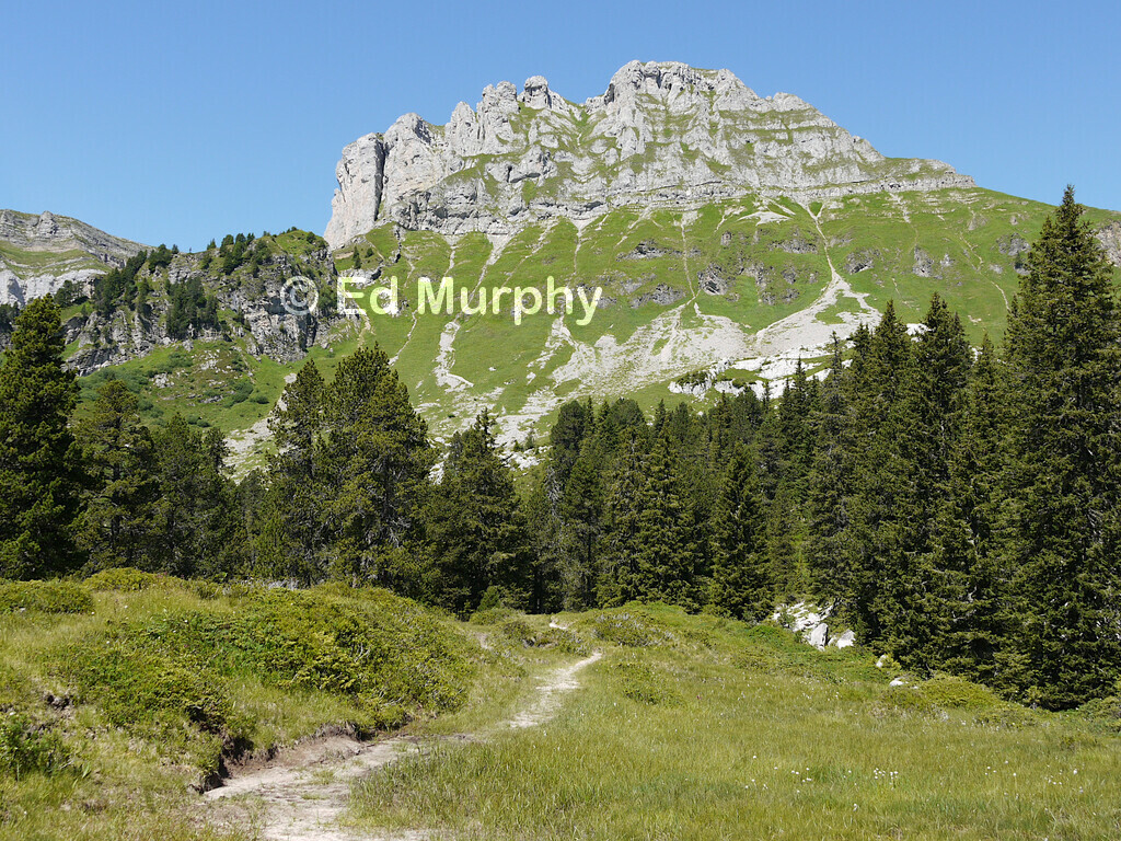 The track to the Furggeng&uuml;tsch