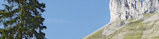 &nbsp;