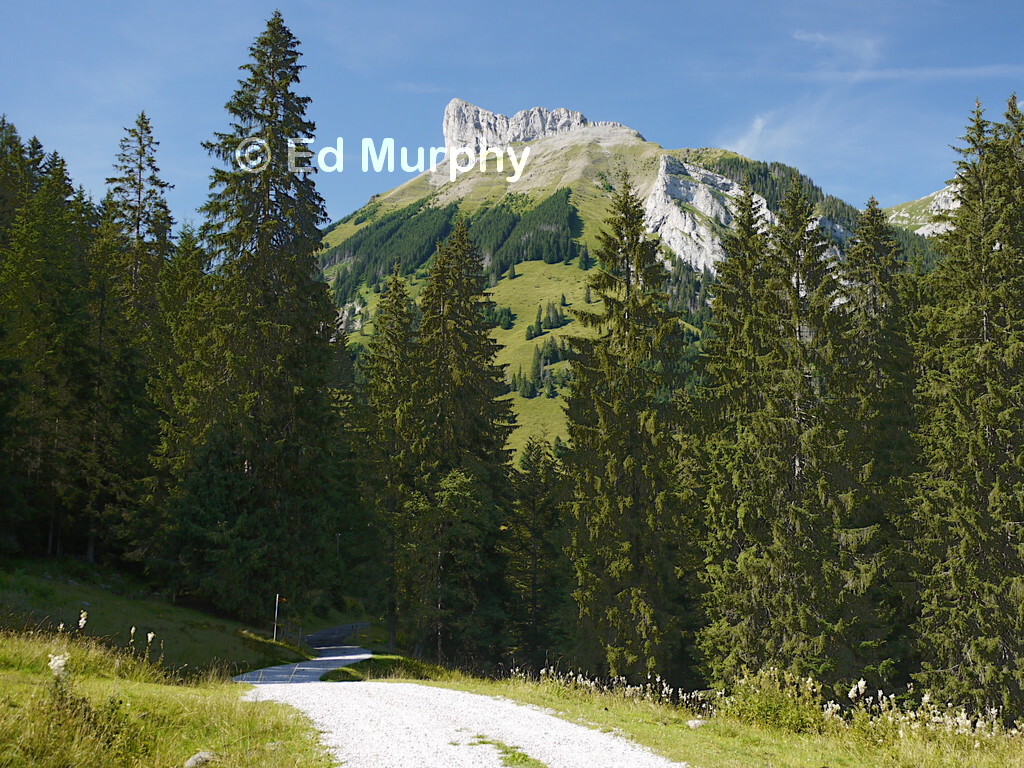 The Schibeng&uuml;tsch