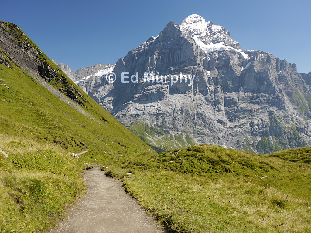 The Wetterhorn from the First - Grosse Scheidegg path