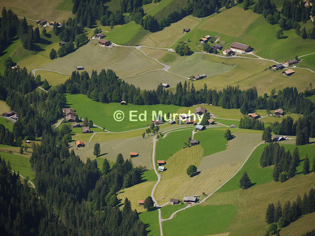 Manicured alpine meadows above Gstaad