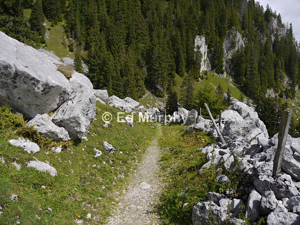 On the way from the Gantrisch to the Stockhorn