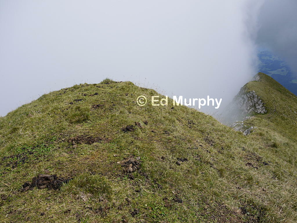 The Schafberg's untended summit