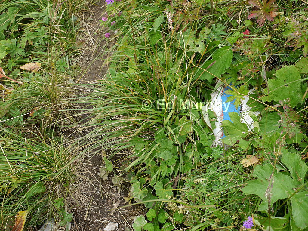 Hidden marker on the track to the Kaiseregg