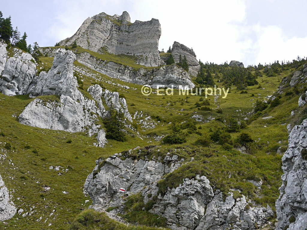 The Trogenhorn