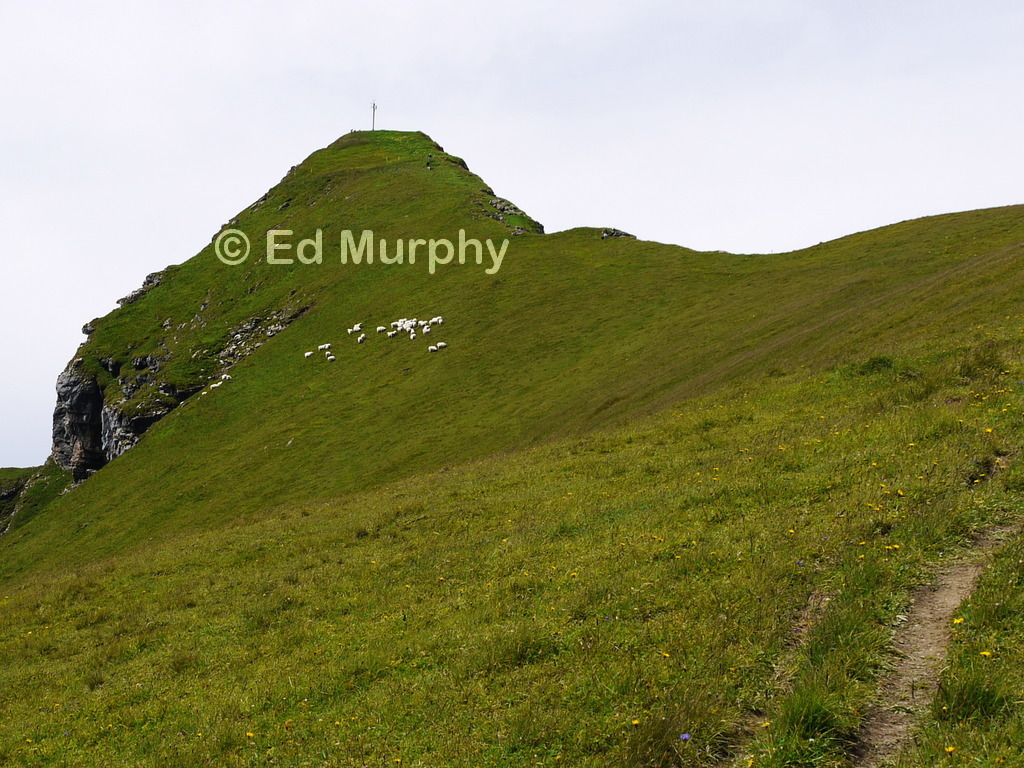 La Pare's grassy summit
