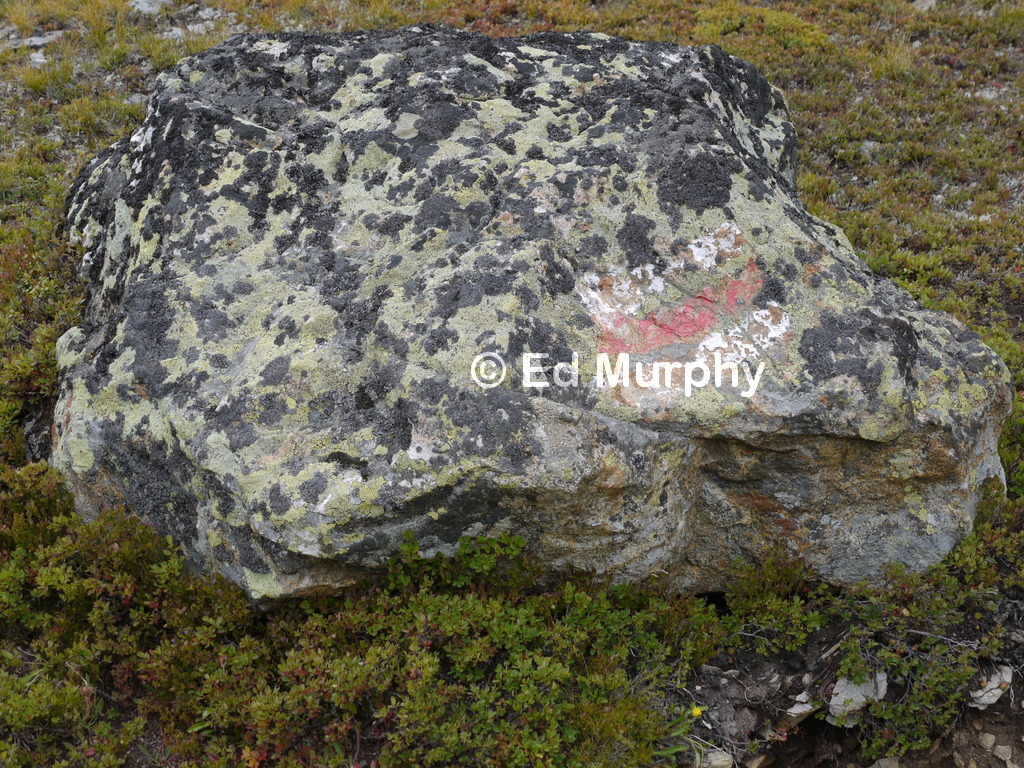 Wayside boulder on the track up the Niwen