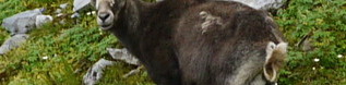 &nbsp;