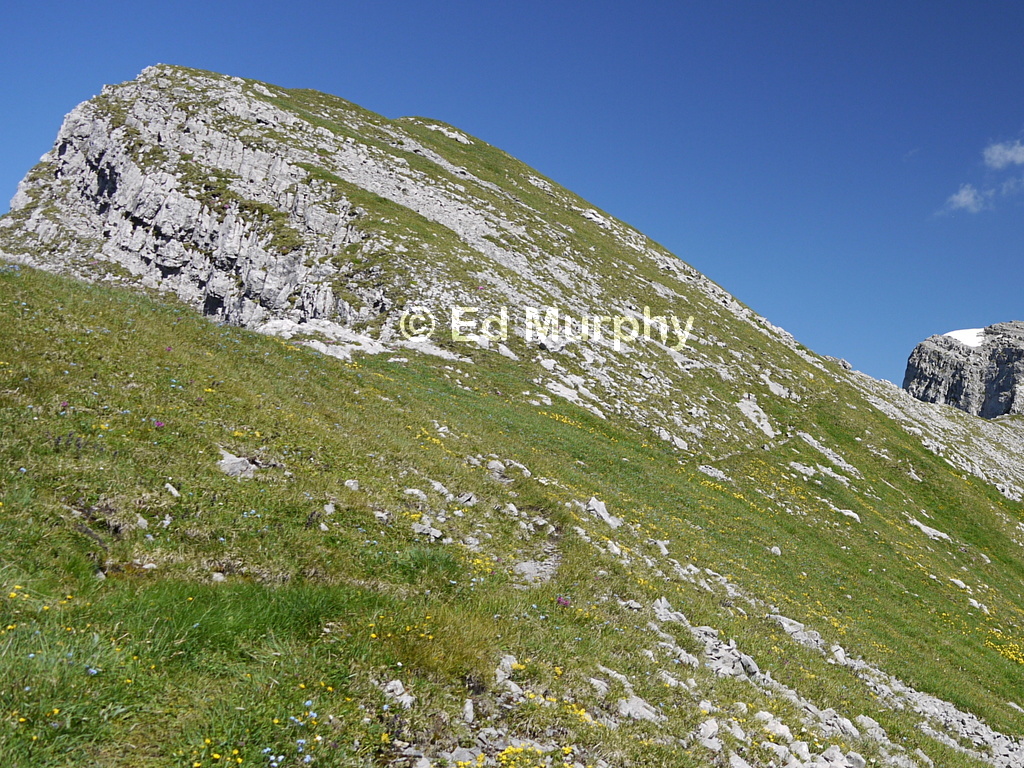 The faint path slanting up the Zahm Geissberg