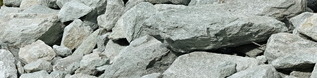 &nbsp;