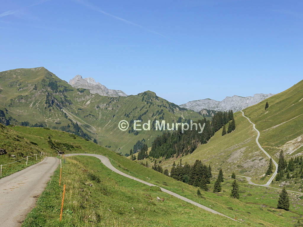 The upper Diemtigtal in morning light