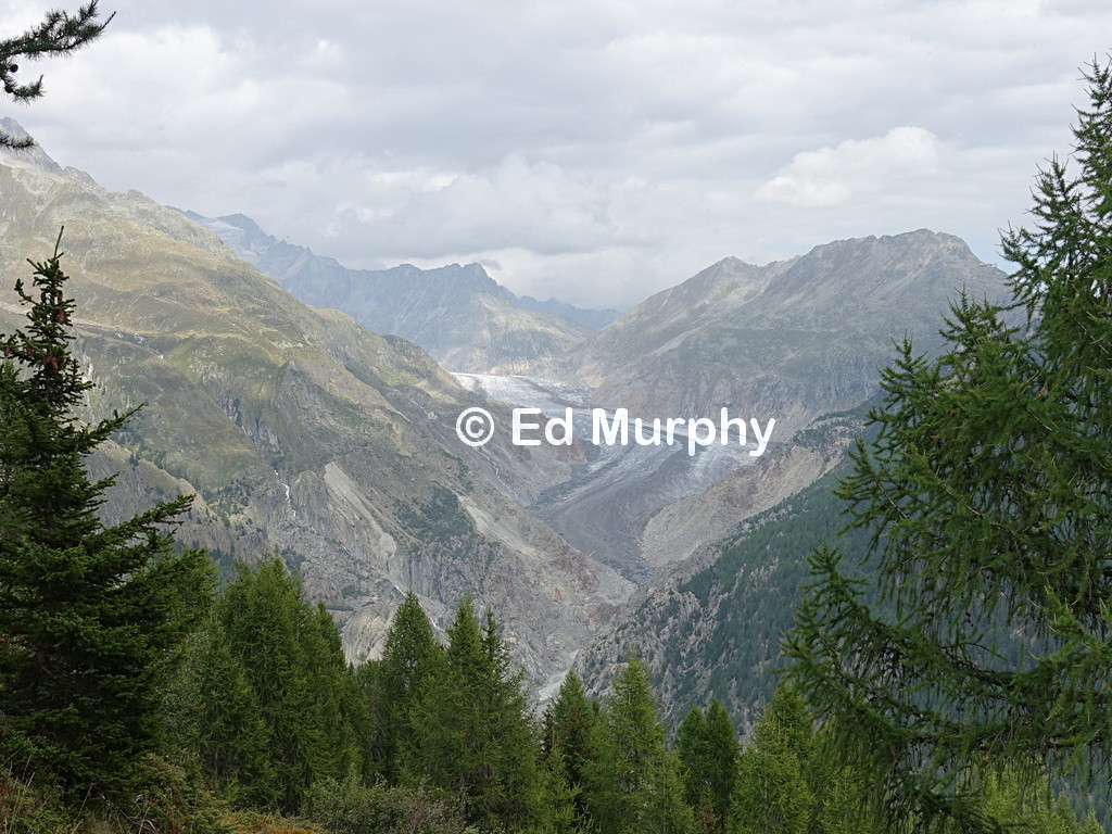The long tongue of the Aletsch Glacier