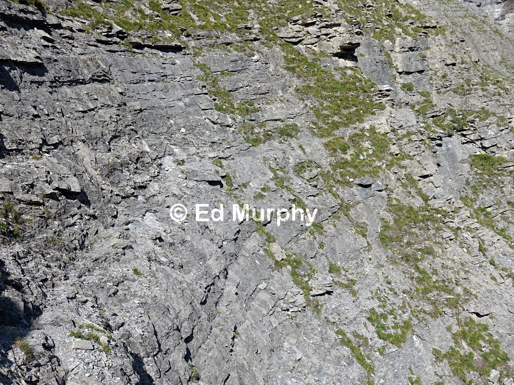 An exposed section of the track across the amphitheatre