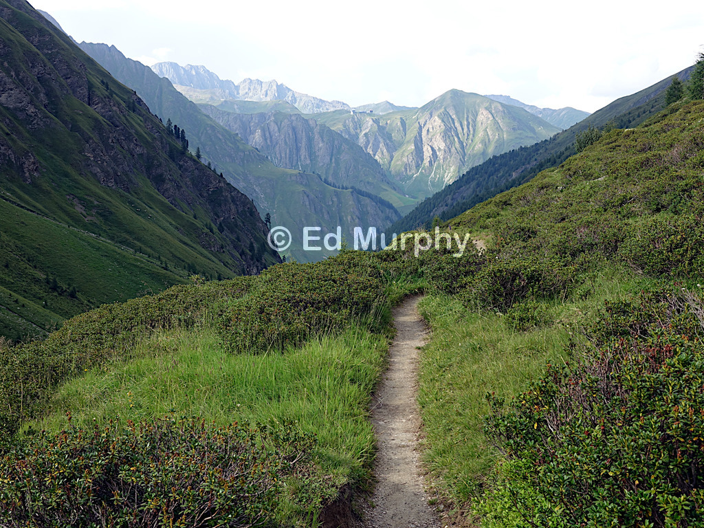 The lower stretch of the Muttler track above Samnaun