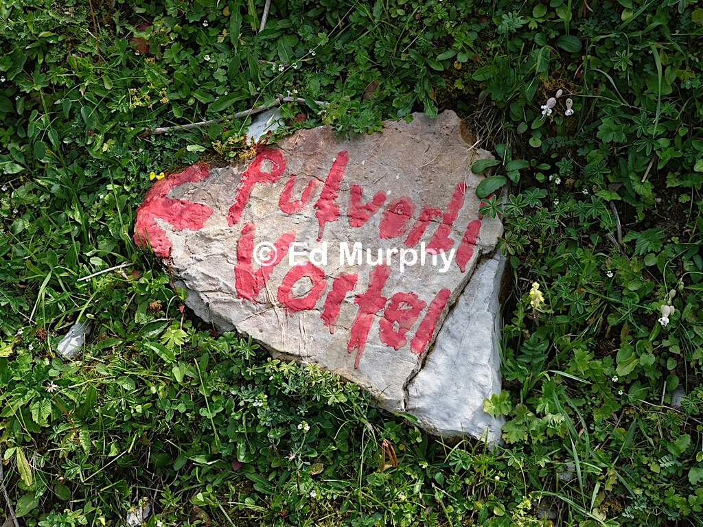 Not-to-be-missed marker for the track towards the Widdergalm