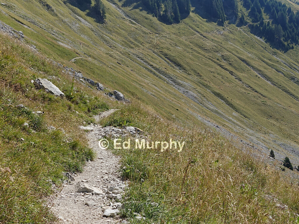 The track from the Leiterenpass towards the distant Stockhorn
