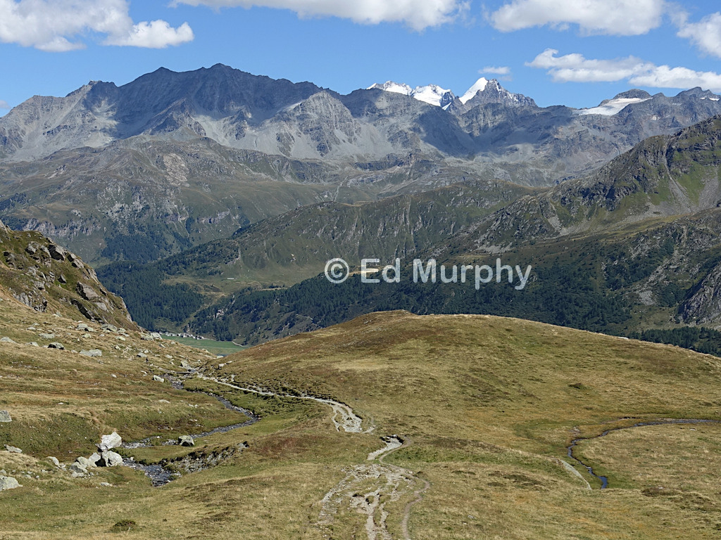Easy walking alongside the baby Inn, with the high Bernina peaks on the horizon